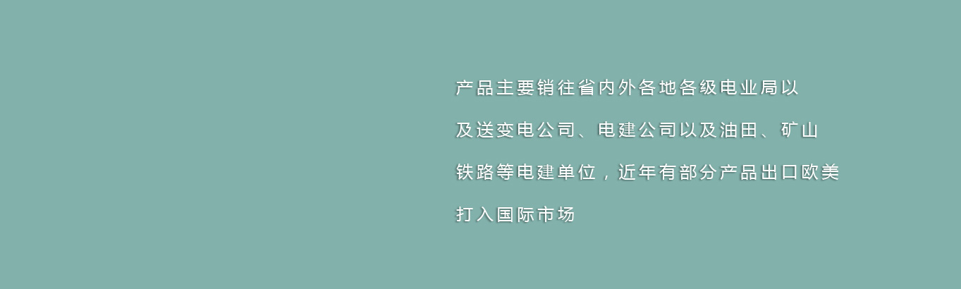 泰安三英新材料股份有限公司